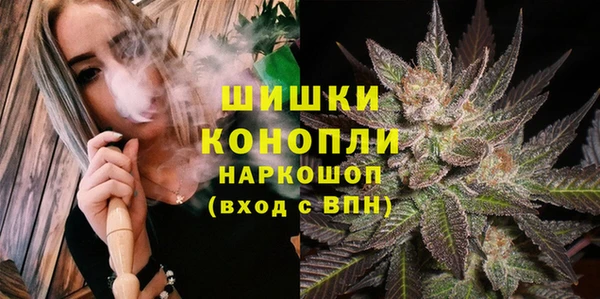 меф Арсеньев