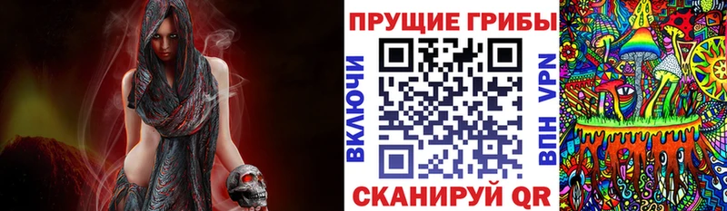 ссылка на мегу ONION  Новоузенск  Псилоцибиновые грибы Psilocybine cubensis 